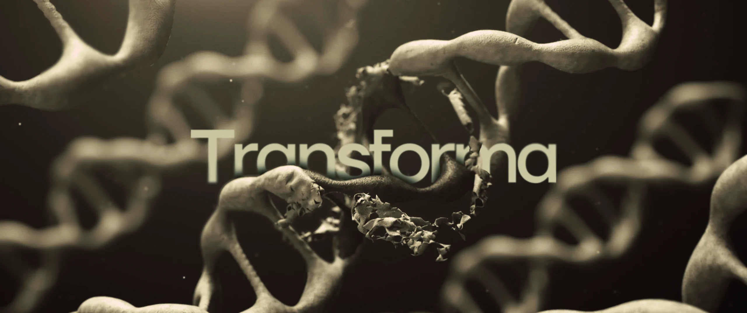 Oxy Filmes Produtora Audiovisual Goiânia Curitiba